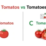 tomatos or tomatoes