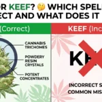 kief or keef
