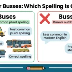 buses or busses