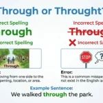 throught or through